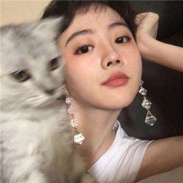 小鸟上青天破解版下载